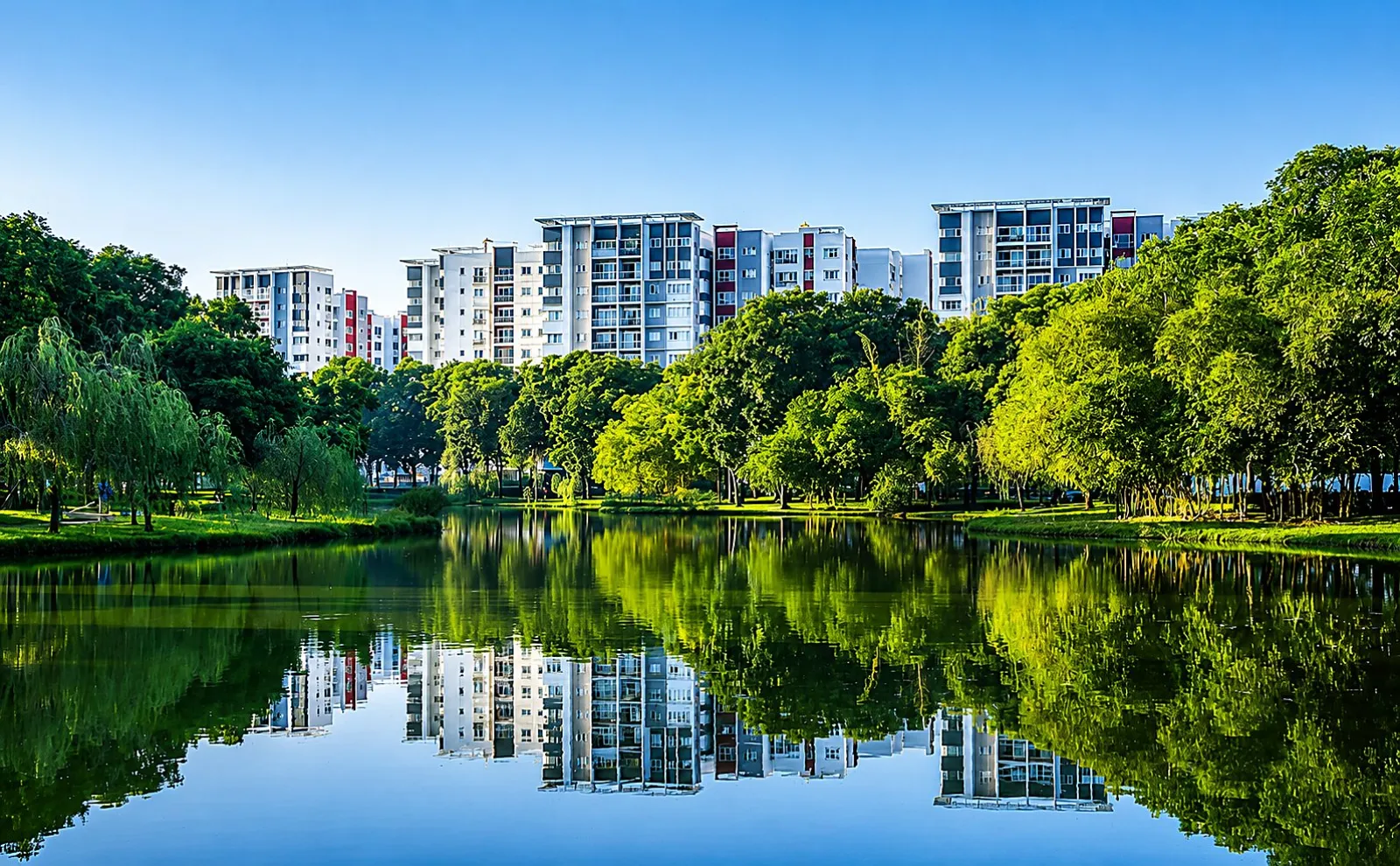 Khu căn hộ Saigon Park nhìn từ ngoài